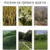 Акумулаторен тример за трева 800W тип косачка за трева