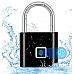 Секретен биометричен катинар с пръстов отпечатък